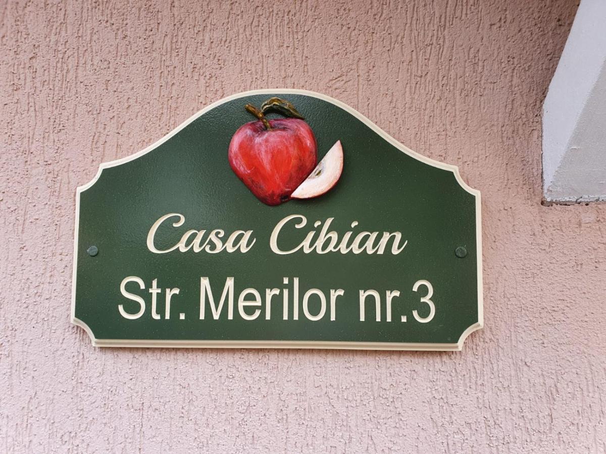Ferienwohnung Casa Cibian Brașov Exterior foto